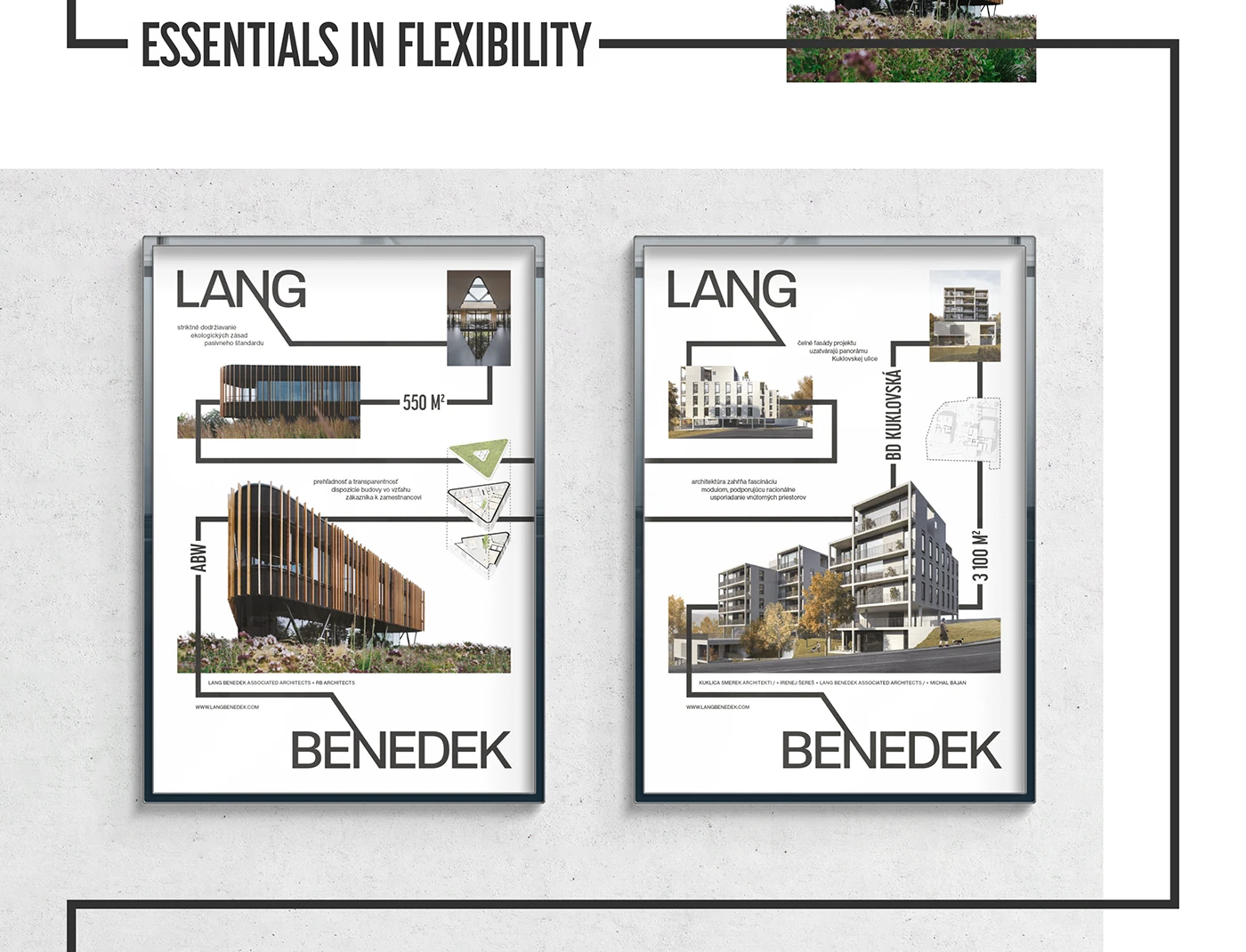 Lang Benedek Architects — visual identity